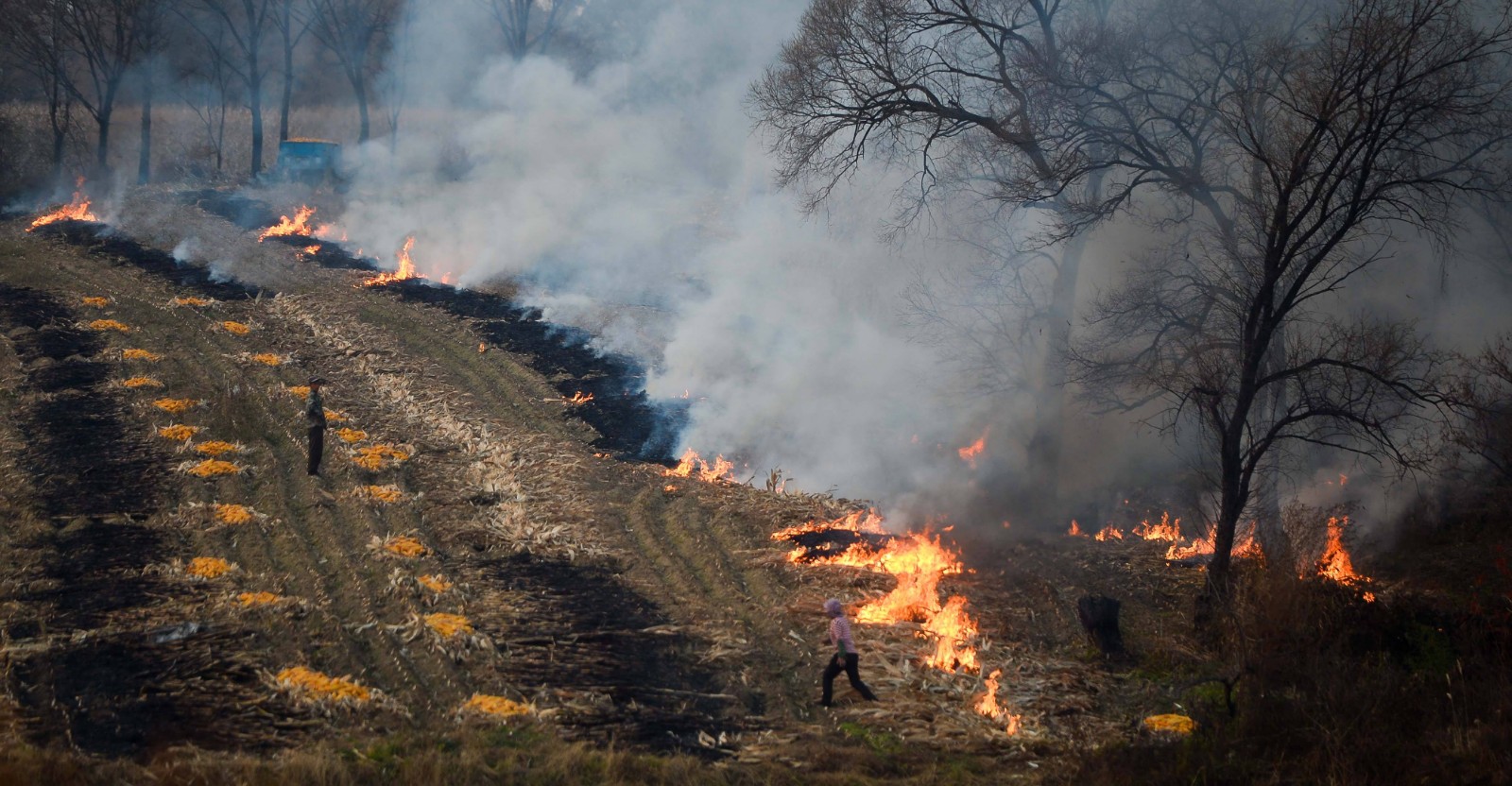 秸稈焚燒破壞生態環境