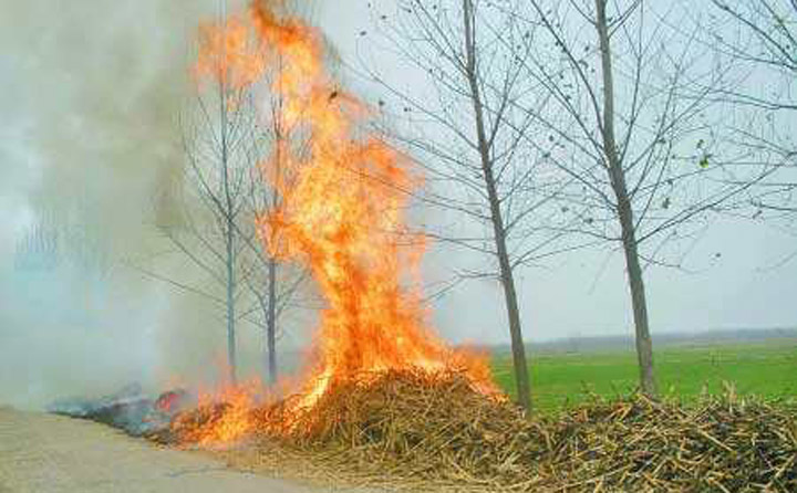 農民就地焚燒秸稈 農民就地焚燒秸稈