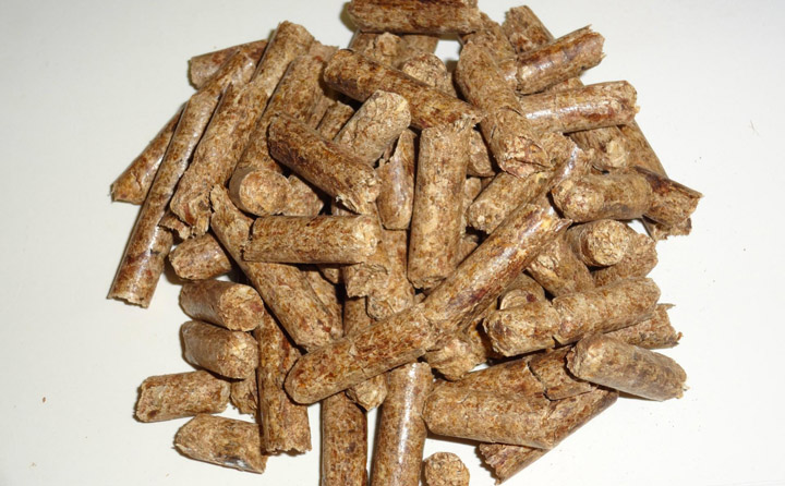 生物質(zhì)燃料 生物質(zhì)燃料