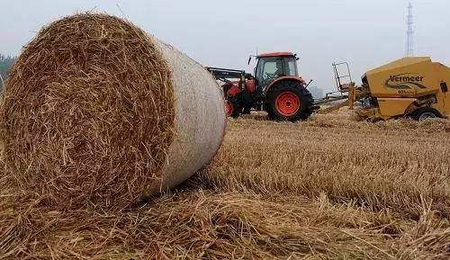 秸稈綜合利用形成產業(yè)鏈