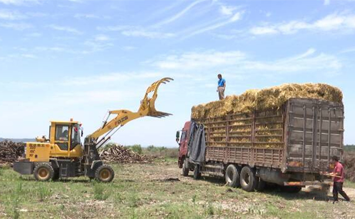 我們在收獲了莊家后,可以將秸稈和農林廢棄物都送到公司來。一方面保證了村里的潔凈環境,另一方面也得到了一部分收入,一舉兩得.jpg 我們在收獲了莊家后,可以將秸稈和農林廢棄物都送到公司來。一方面保證了村里的潔凈環境,另一方面也得到了一部分收入,一舉兩得.jpg