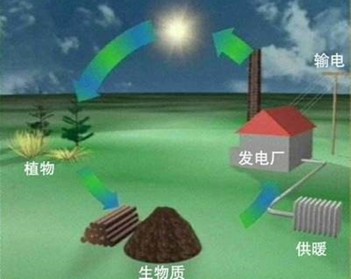 生物質(zhì)能.jpg